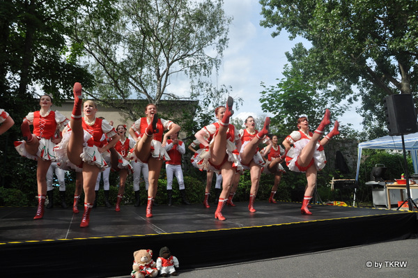 2012-06-23_tannenbusch_1195