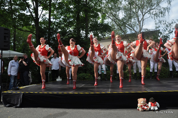 2012-06-23_tannenbusch_1196