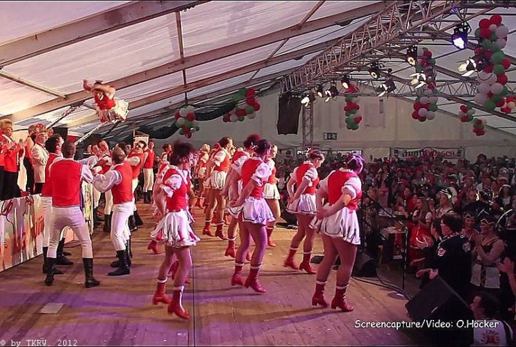 video_oly-28-01-2012-000634-bmp