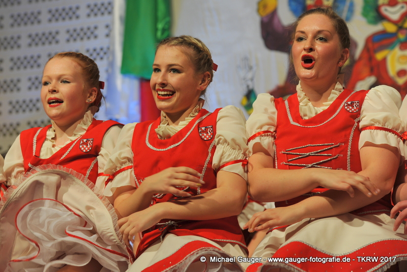 2017herrensitzung-027