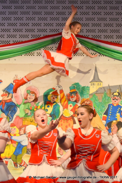 2017herrensitzung-033