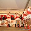 2013-02-09prunksitzung0484