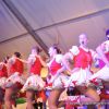 2013-02-09prunksitzung0546