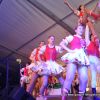 2013-02-09prunksitzung0549