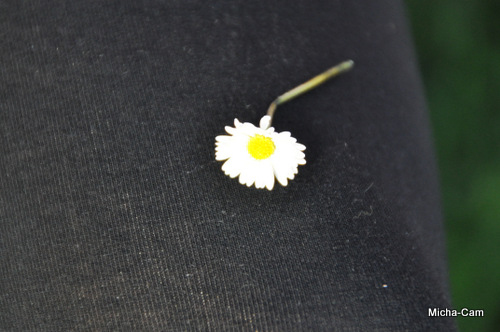 7-7-2012_tkrw-sommerfest108