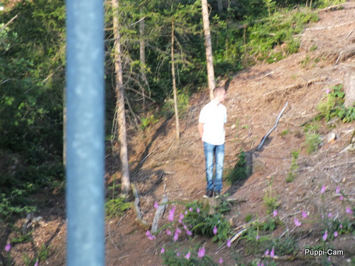 7-7-2012_tkrw-sommerfest118