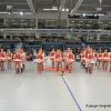 vfl-101